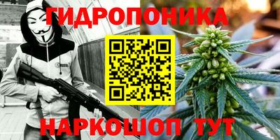 Альфа ПВП Аргун