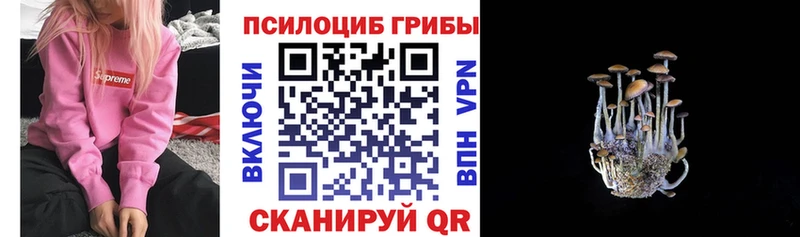 Галлюциногенные грибы мицелий  Бахчисарай 