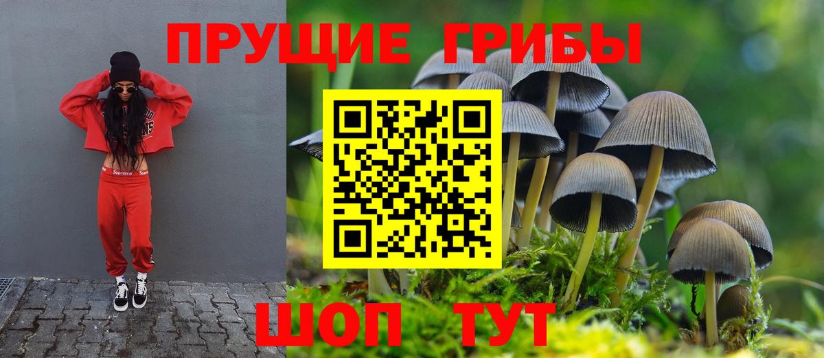 Галлюциногенные грибы мицелий  Галлюциногенные грибы Magic Shrooms  Бахчисарай 