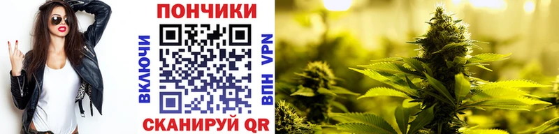 МАРИХУАНА SATIVA & INDICA мориарти официальный сайт Бахчисарай